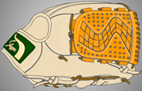 ウェブ画像Ｗ-２４