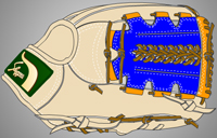 ウェブ画像Ｗ-３０