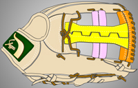 ウェブ画像Ｗ-３３