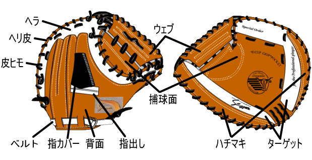 p[cʒu