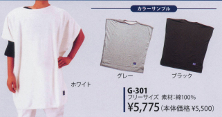 G-301