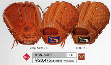 6GSE
