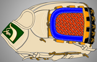 久保田スラッガーのウェブ注文 ベースボールショップGTK
